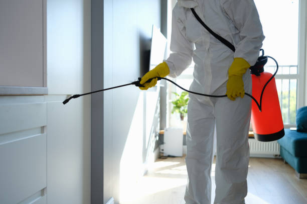 Best Toxic Mold Removal  in Kekaha, HI